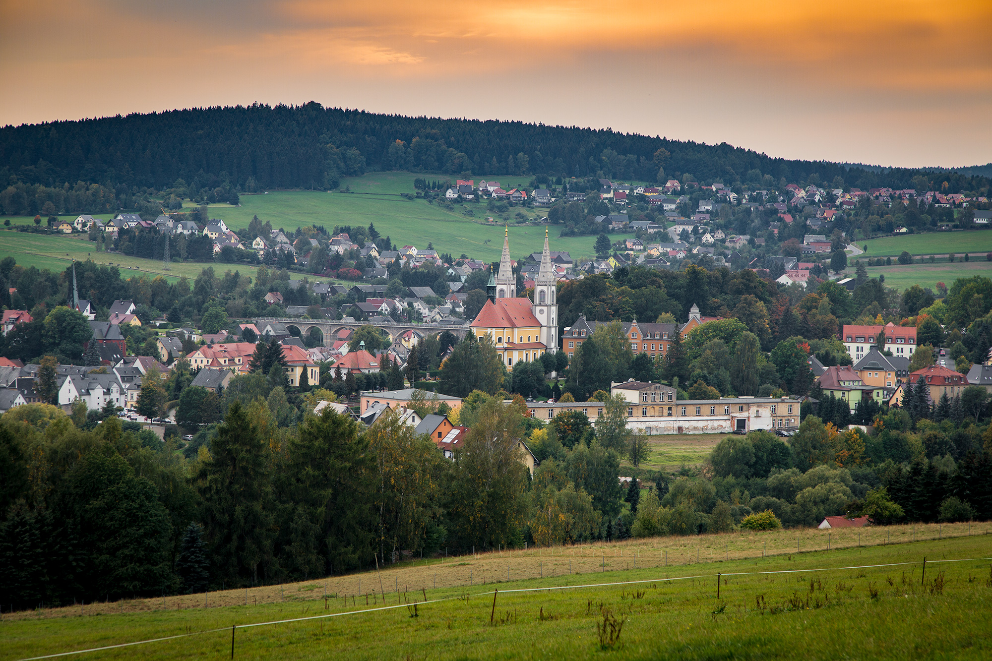 Whore aus Schirgiswalde-Kirschau